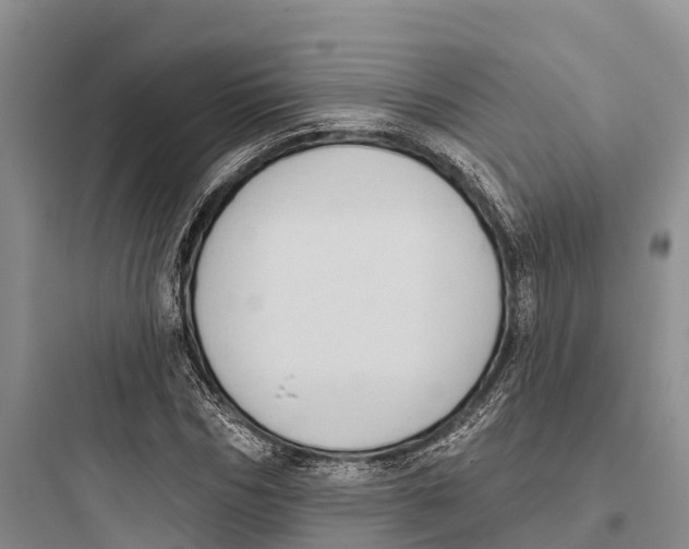 X0000097590970200803211632