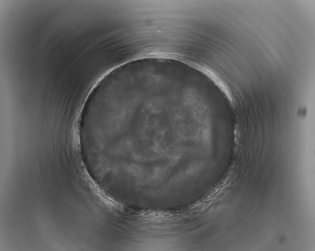 X0000097590972200803211632