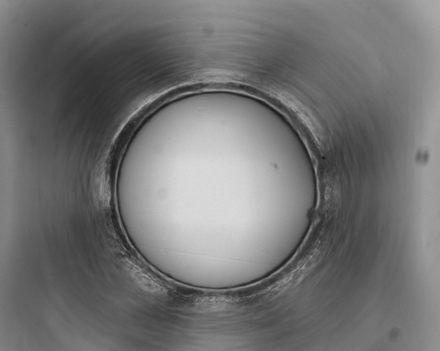 X0000097590973200803211632