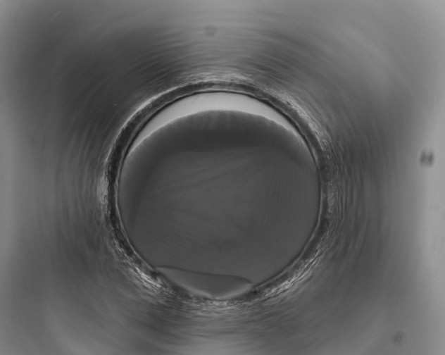 X0000097590975200803211632