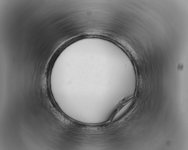 X0000097590976200803211632