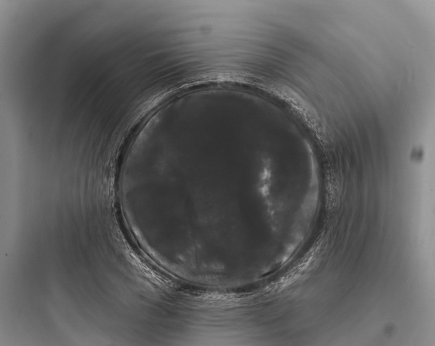 X0000097590977200803211632