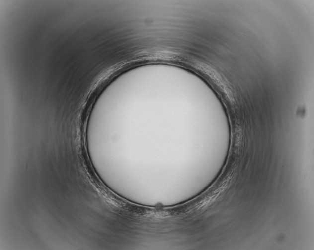 X0000097590978200803211632