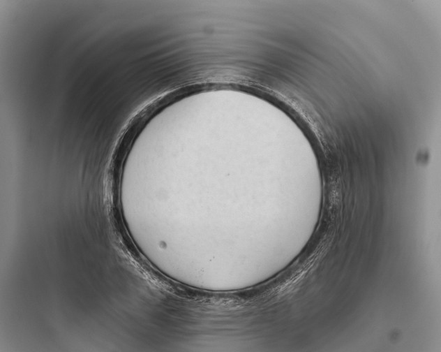 X0000097590979200803211632