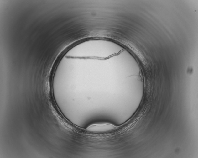 X0000097590980200803211632