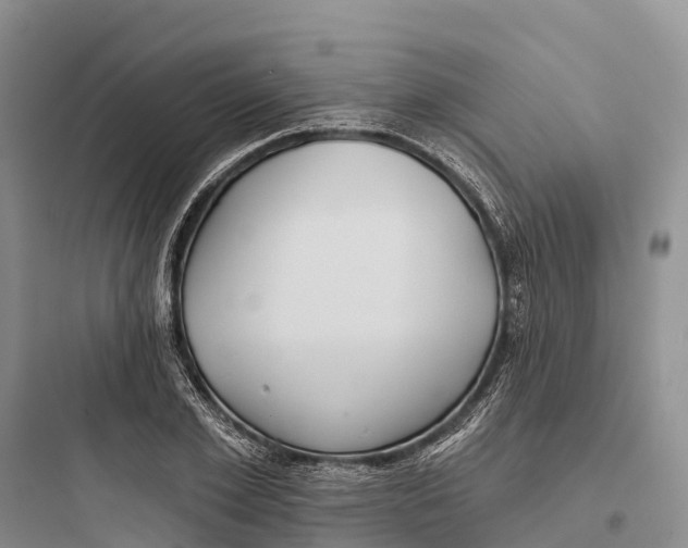 X0000097590981200803211632