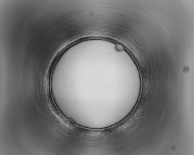 X0000097590982200803211632