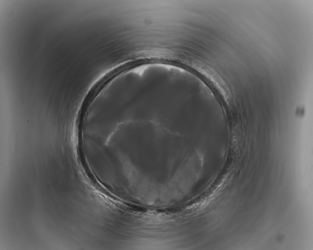 X0000097590983200803211632