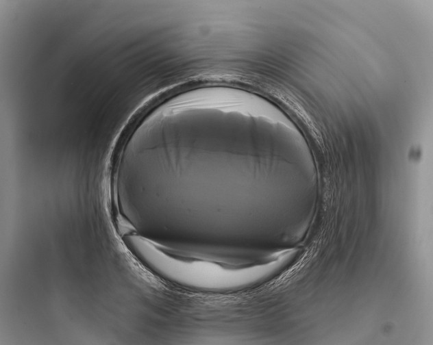 X0000097590984200803211632