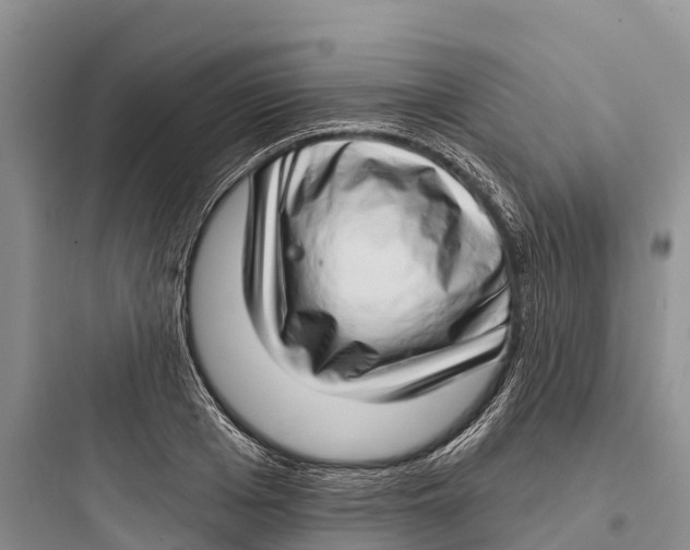 X0000097590985200803211632