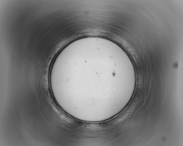 X0000097590986200803211632