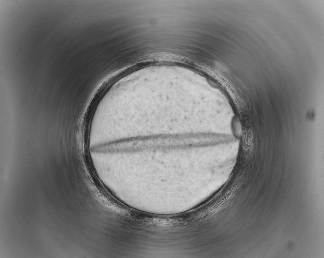 X0000097590987200803211632