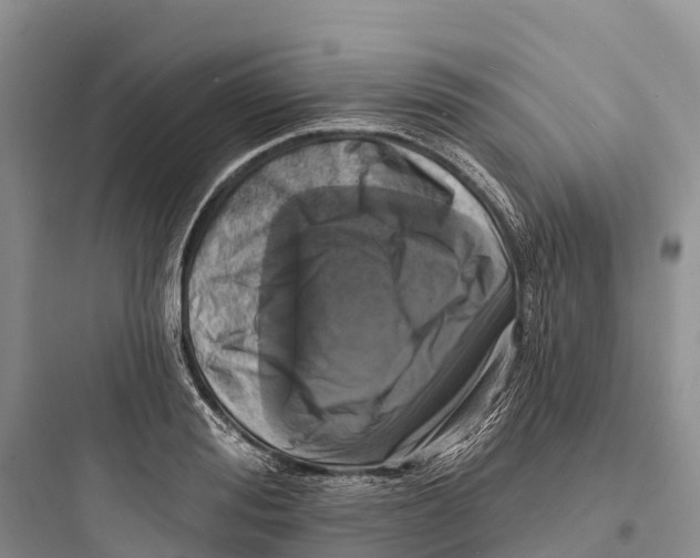 X0000097590988200803211632