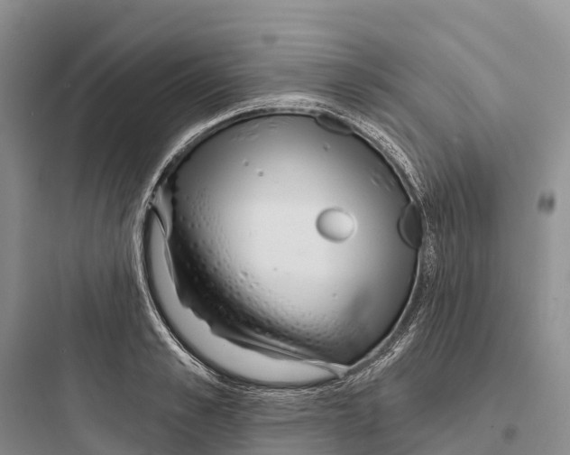 X0000097590989200803211632