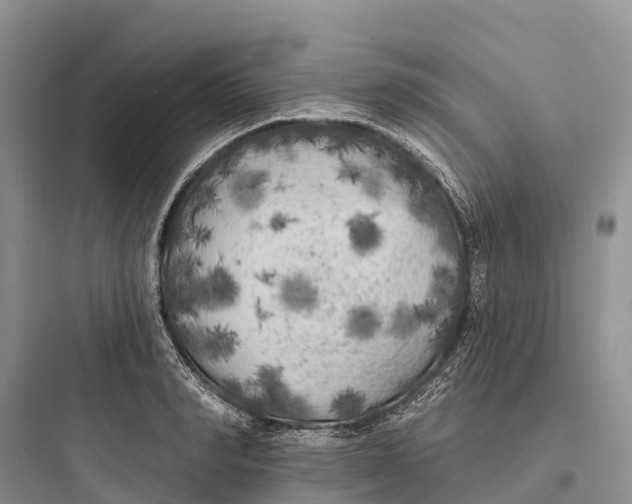 X0000097590990200803211632