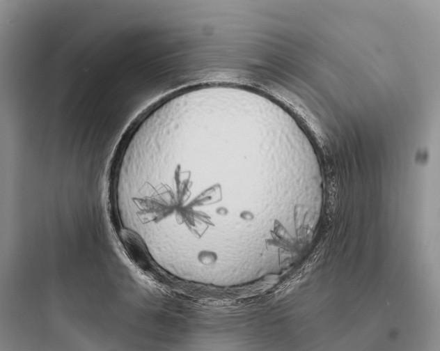 X0000097590991200803211632