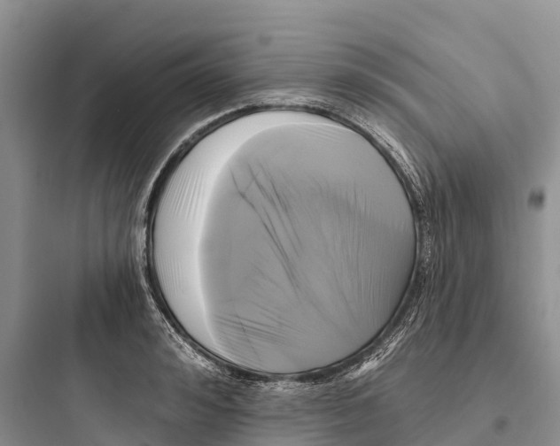 X0000097590992200803211632