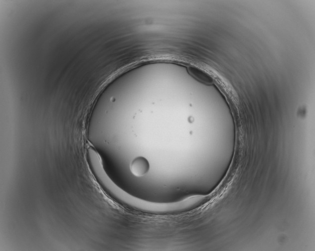 X0000097590993200803211632