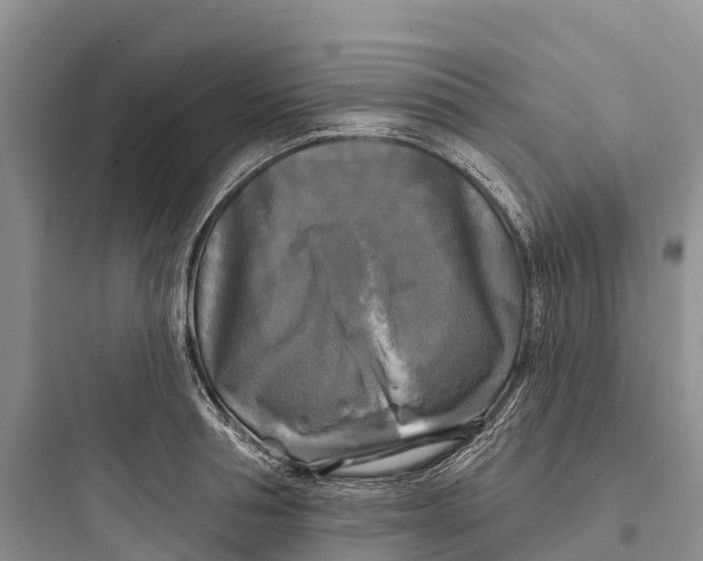 X0000097590994200803211632