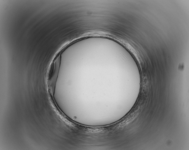 X0000097590997200803211632