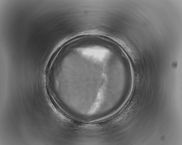 X0000097590998200803211632