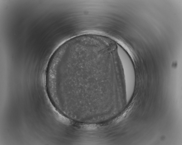 X0000097590999200803211632