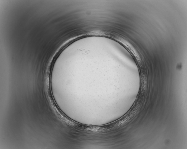 X0000097591000200803211632