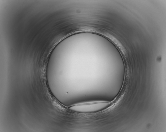 X0000097591001200803211632