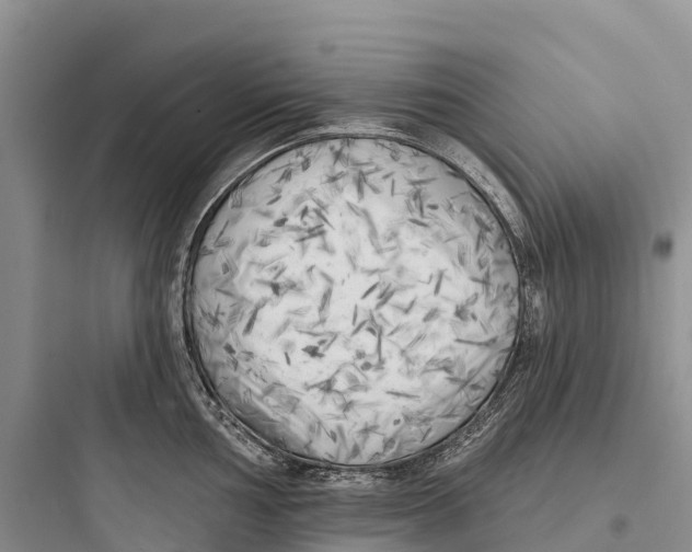 X0000097591002200803211632