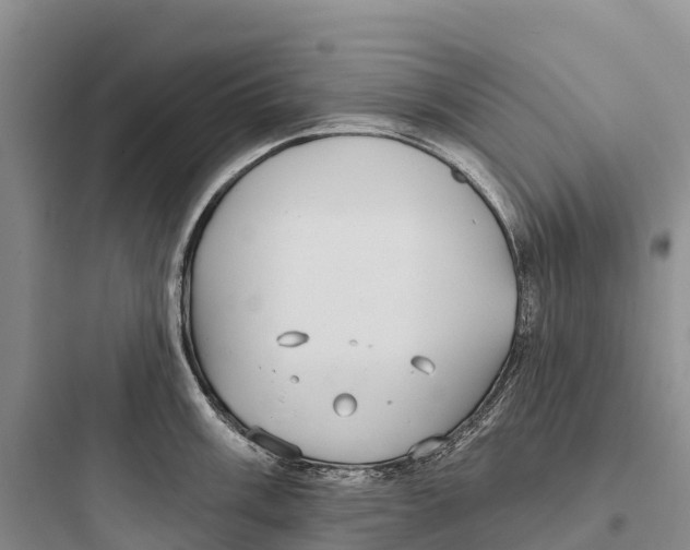 X0000097591003200803211632