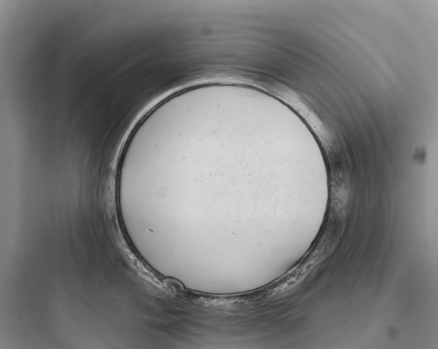 X0000097591004200803211632