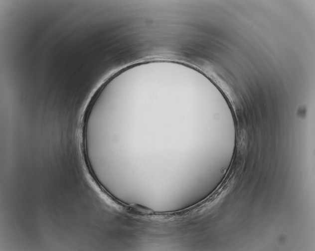 X0000097591005200803211632