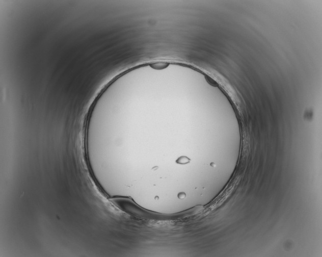 X0000097591006200803211632