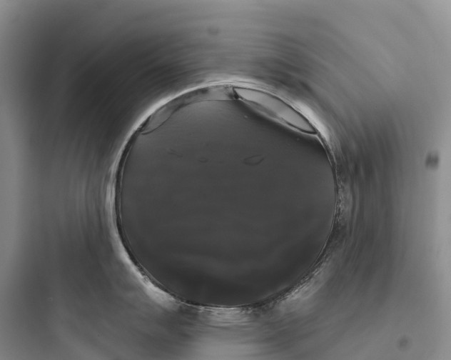 X0000097591007200803211632