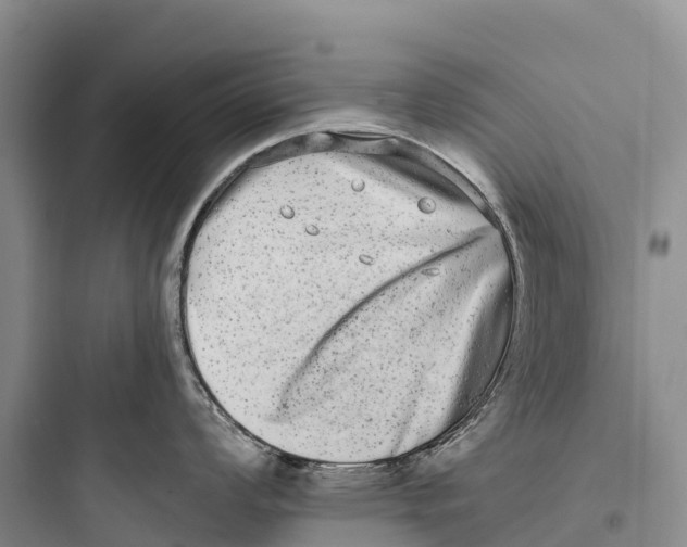 X0000097591008200803211632