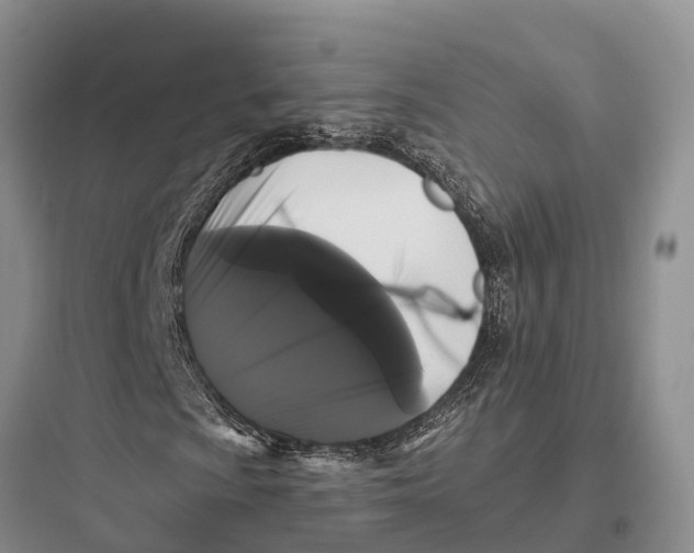 X0000097591009200803211631