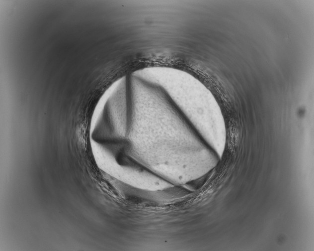 X0000097591010200803211631