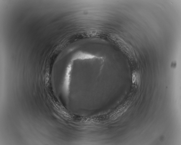 X0000097591011200803211631