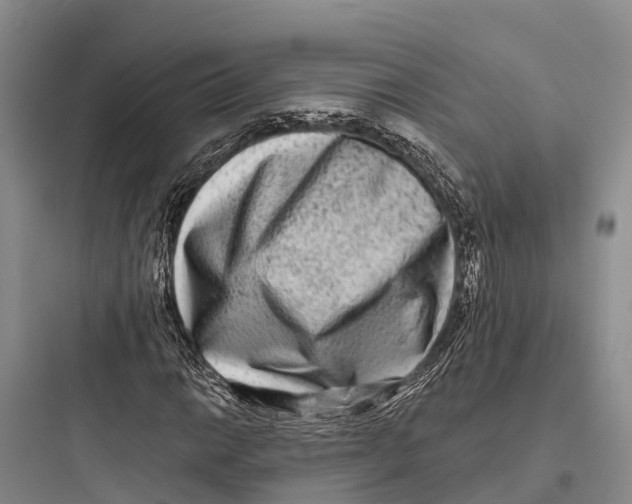 X0000097591014200803211631