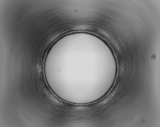 X0000097591017200803211631