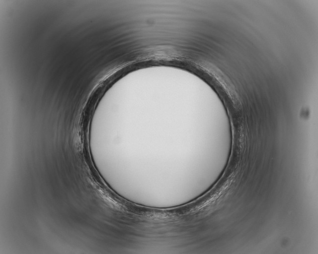 X0000097591018200803211631