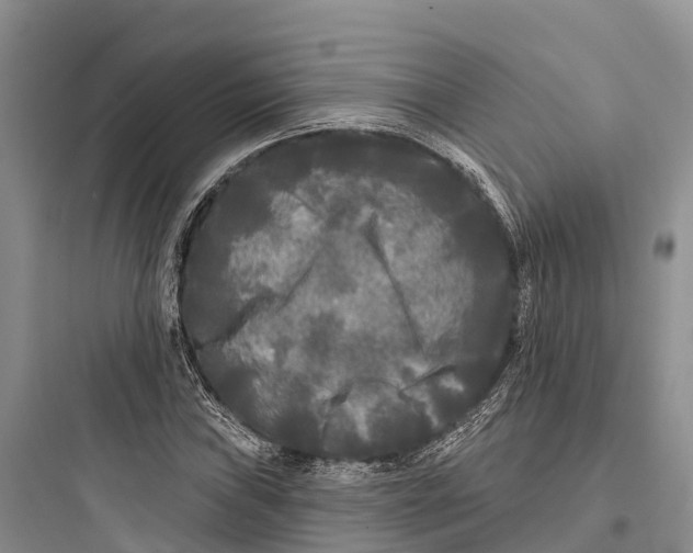 X0000097591019200803211631