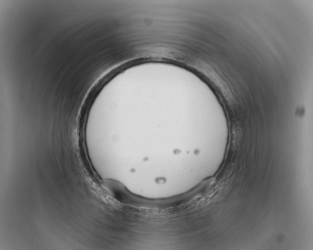 X0000097591020200803211631