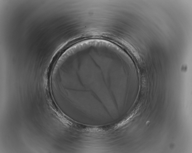 X0000097591023200803211631