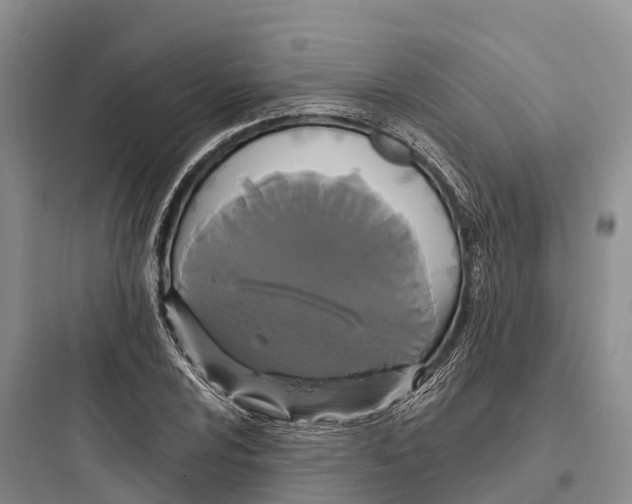 X0000097591024200803211631