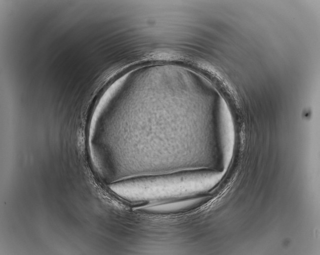 X0000097591025200803211631