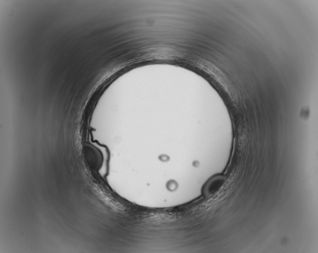 X0000097591026200803211631