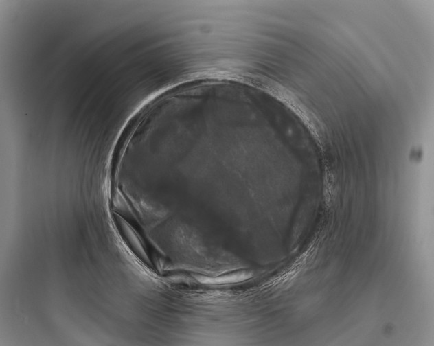 X0000097591028200803211631