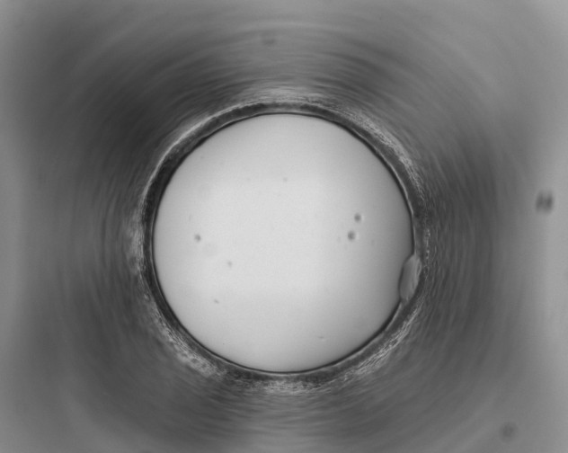 X0000097591029200803211631