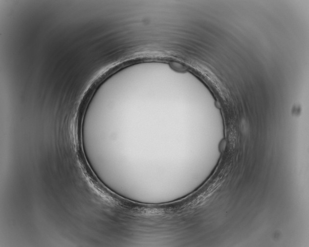 X0000097591030200803211631